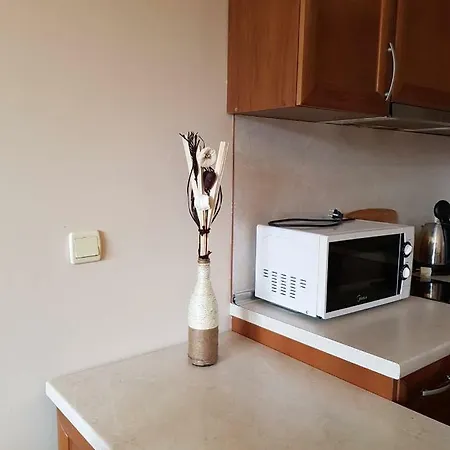 דירה Edelweiss 20 בנסקו